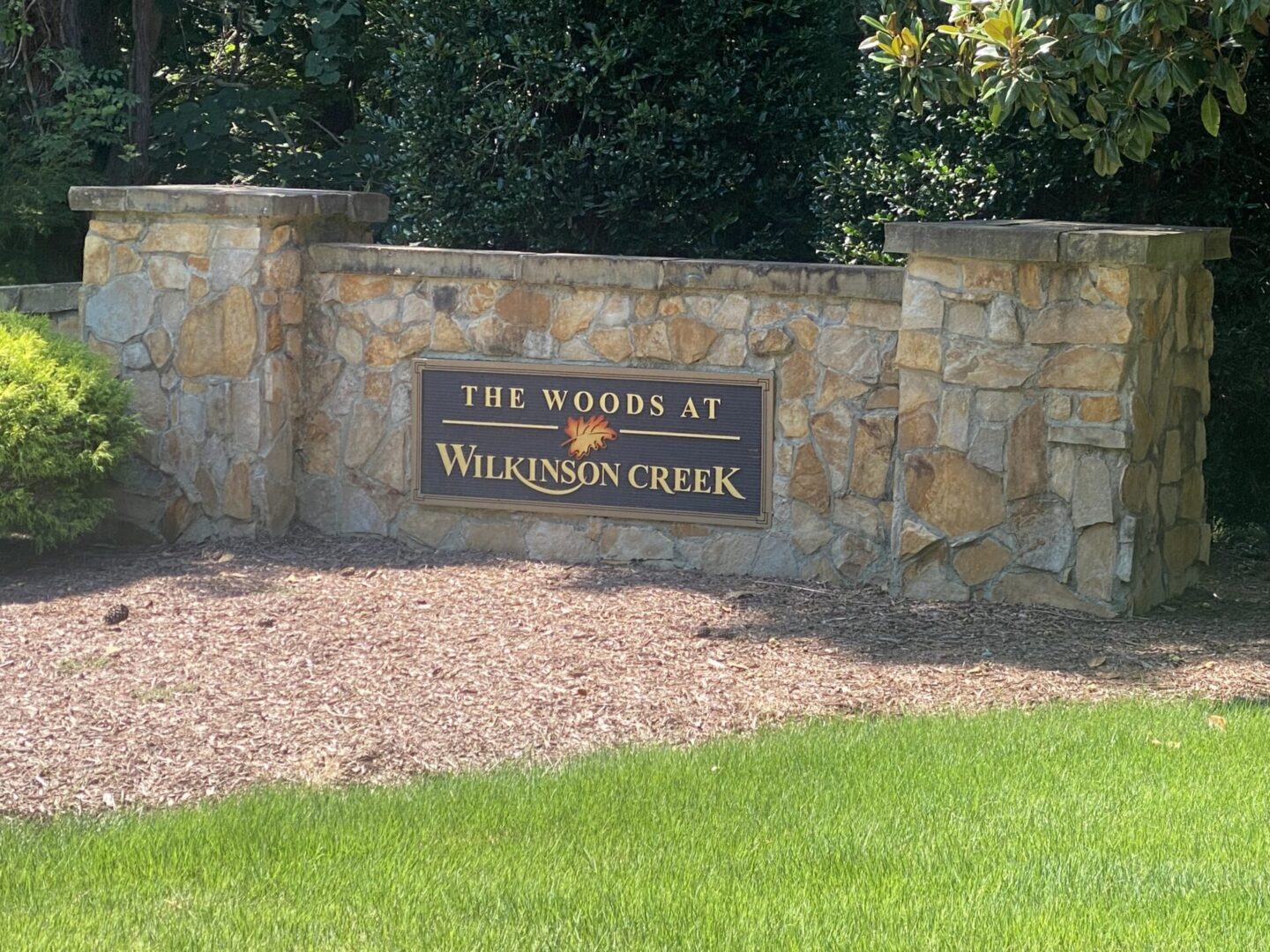 The Image of The Woods at Wilkinson Creek