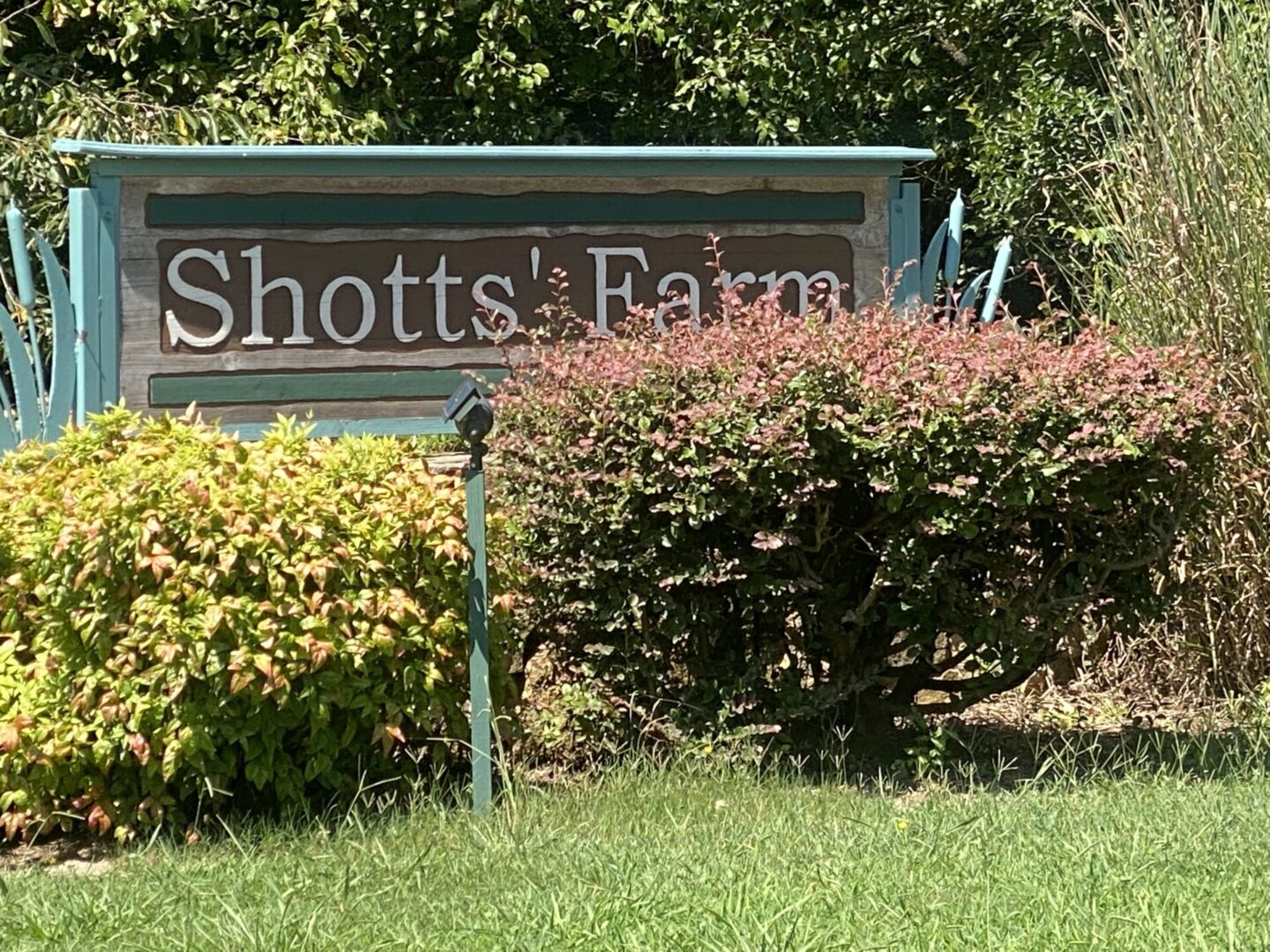 Unique Design Sign on Shotts Farm