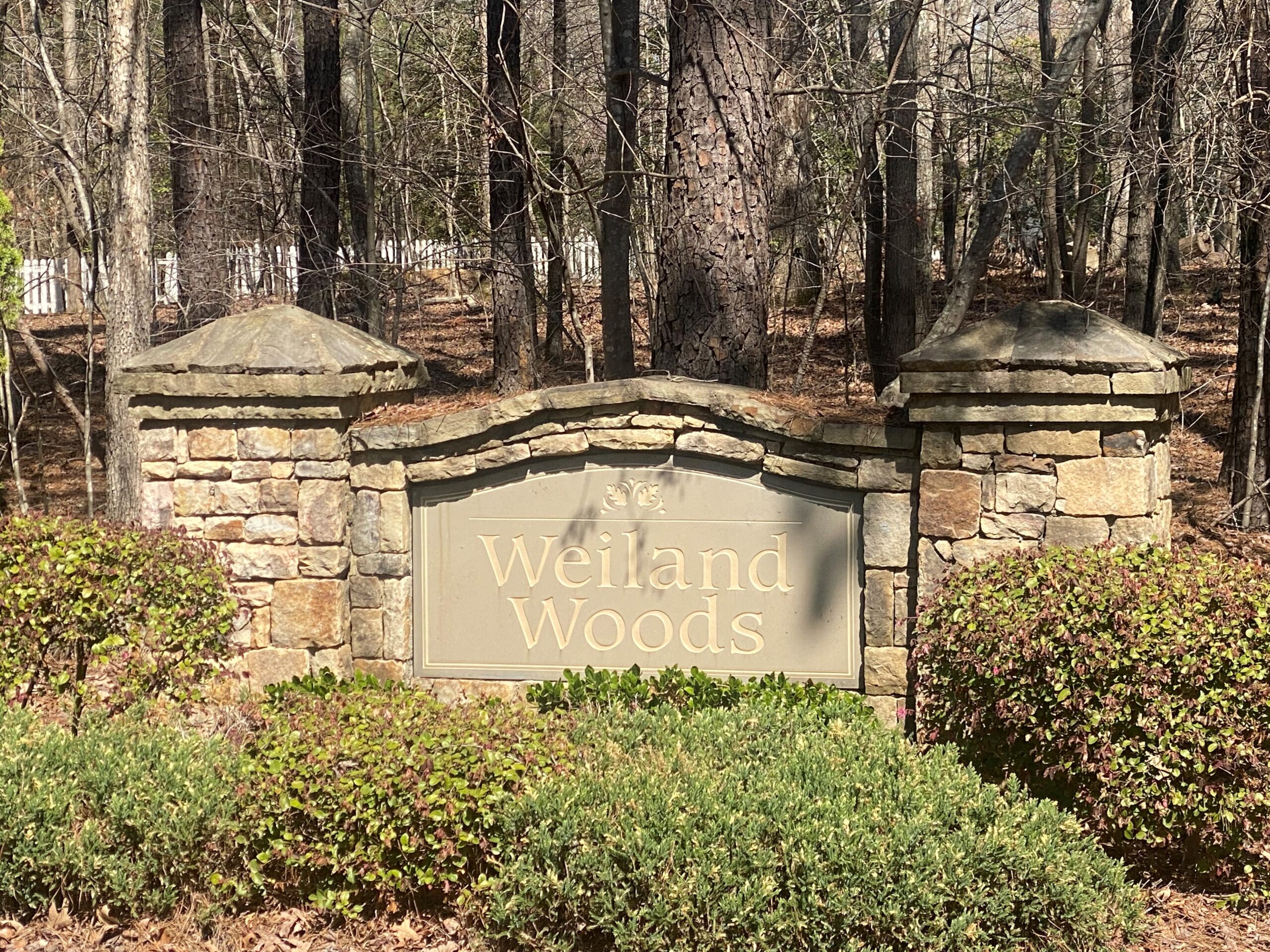 Weiland Woods Board On A Wall Surround With Trees