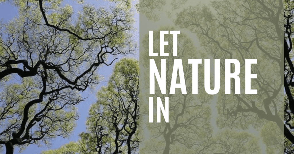 Let Nature In Written On A Banner With Trees Background